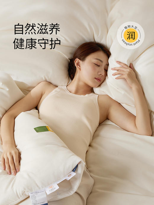 佳丽斯大豆纤维被子全棉a类单人春秋被冬被加厚保暖被芯四季通用 商品图1