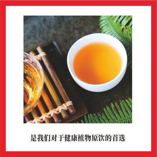 有机红茶   481蜜香红 敬 78g【基地直发】 商品图2