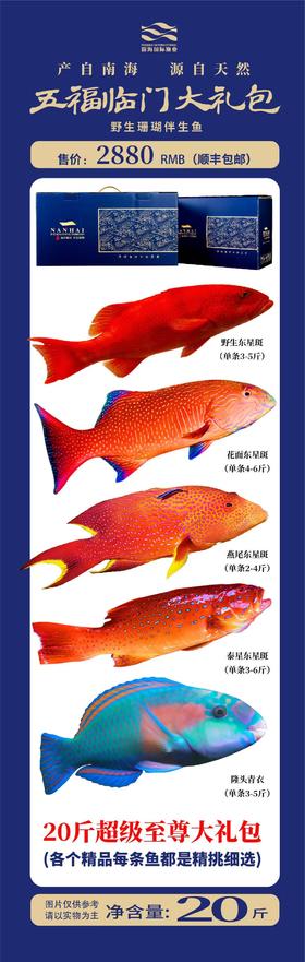 五福临门大礼包