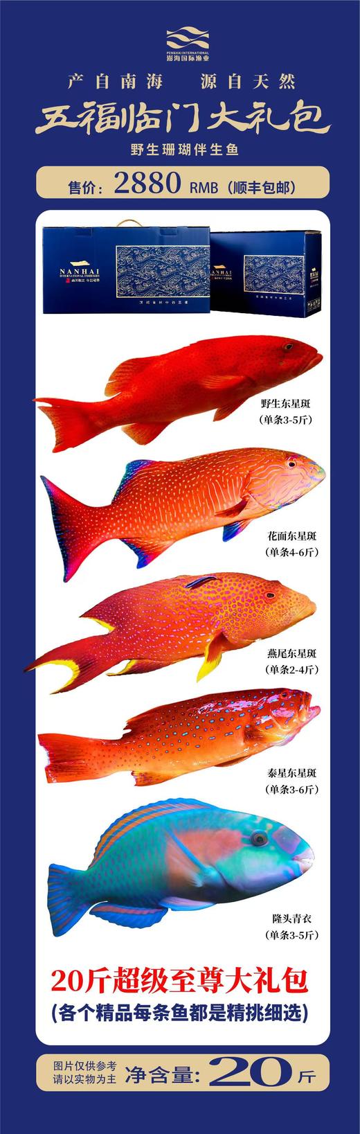 五福临门大礼包 商品图0