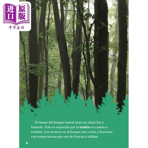 【中商原版】Spanish Science Readers Animales del bosque boreal 3-6年级 8-12岁 西班牙语原版少儿科普读物 北方森林动物 Fauna del b 商品图3