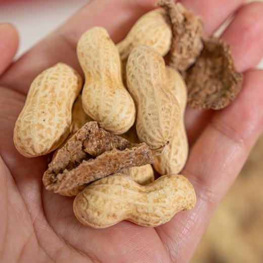 【斌哥优选】陈皮花生。龙岩珍珠花生和九年陈皮完美结合，每一粒花生都吸足了陈皮香，独特又好吃。过年必备小零食。 商品图1