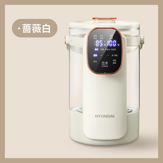 韩国现代/HYUNDAI 高硼硅玻璃可视烧水壶3.5升 大容量电热水壶 家用恒温可视化  A-3536 商品图0