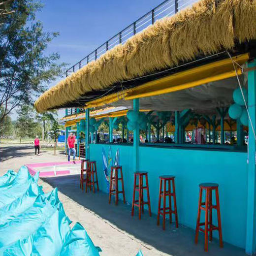 亚庇 ALAYA BEACH CLUB 一日游 商品图1