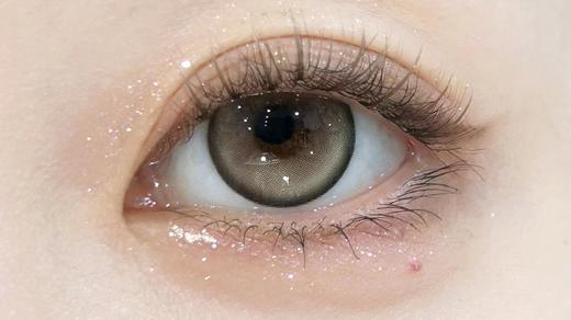 Bollycon半年抛-牛油果派 商品图2