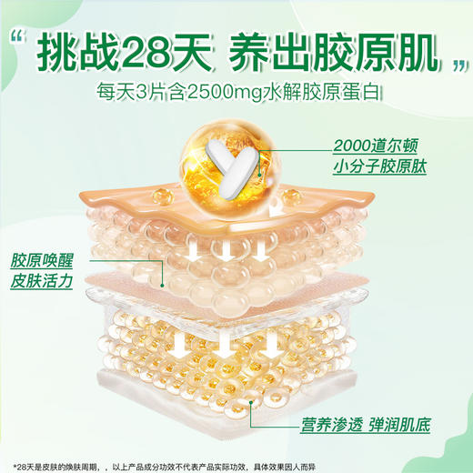 【分销】Jamieson健美生胶原蛋白60片小分子肽28天精华片 商品图5