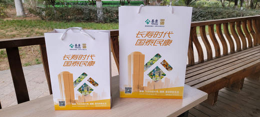 泰康定制手提袋小号  尺寸：28*20*9cm 商品图1