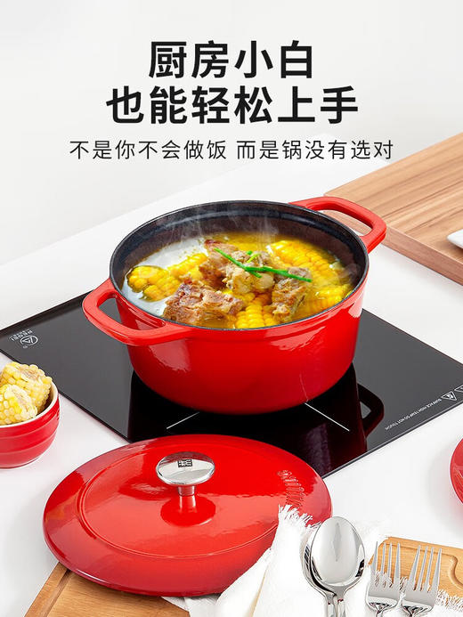 双立人珐琅铸铁锅汤锅红色24cm蒸锅砂锅小炖锅家用燃气煲汤20cm 红色口径4升 24cm 0ml 商品图5