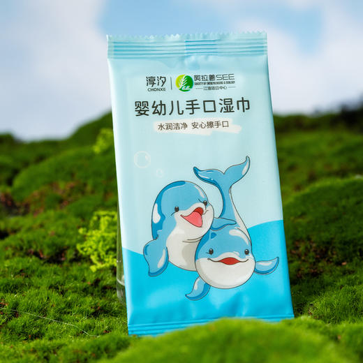 淳汐婴幼儿手口湿巾20片装（单片独立包装）（241195） 商品图2