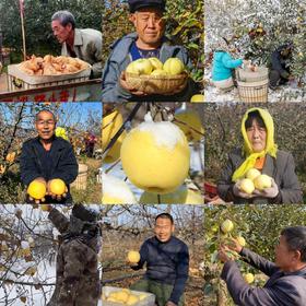 黄金奶油富士苹果