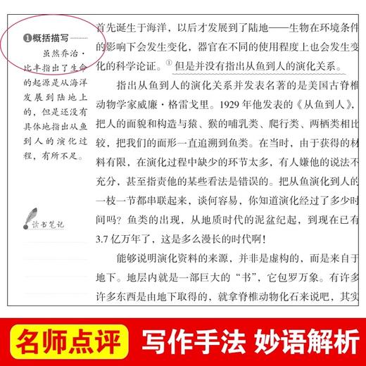 爷爷的爷爷从哪里来 爱阅读课程化丛书中小学生语文中国世界名著青少年无障碍精读中小学课外阅读 商品图1