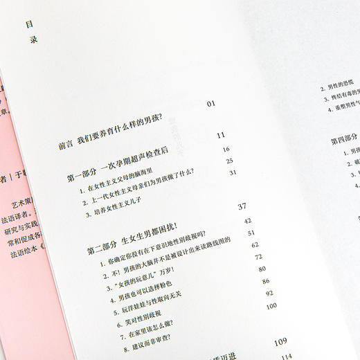 当我生的是男孩 ［法］奥蕾莉亚·勃朗（Aurélia Blanc） 商品图10