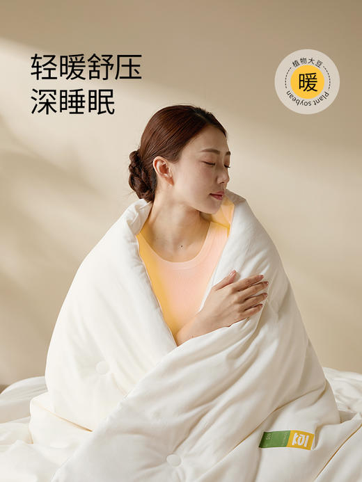 佳丽斯大豆纤维被子全棉a类单人春秋被冬被加厚保暖被芯四季通用 商品图5