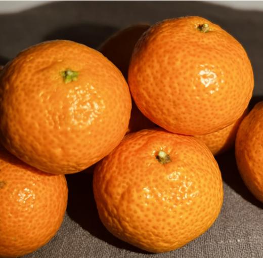 合作产品/ 广西生态砂糖橘  1月10号后发货 商品图2