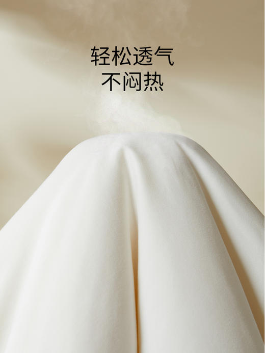 佳丽斯大豆纤维被子全棉a类单人春秋被冬被加厚保暖被芯四季通用 商品图6