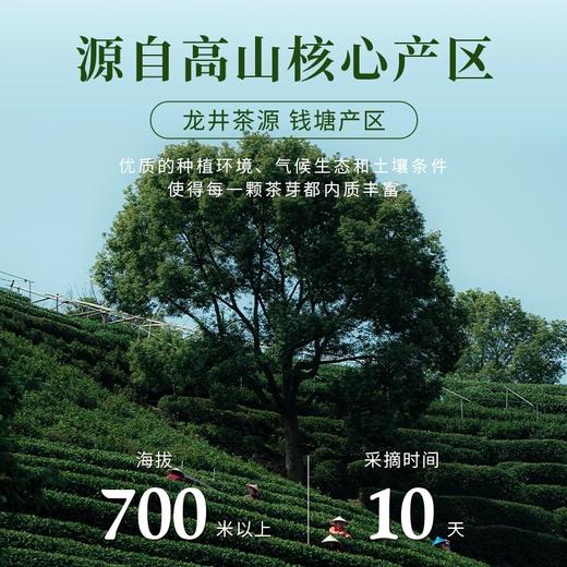 【西湖工夫】浙博珍藏龙井白茶100g 商品图2