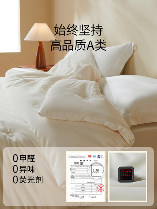 佳丽斯大豆纤维被子全棉a类单人春秋被冬被加厚保暖被芯四季通用 商品图8