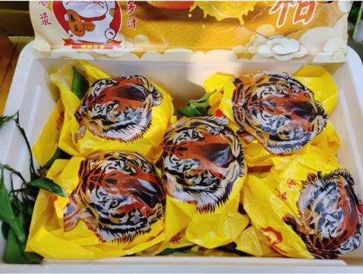 房五春见丑橘一箱 商品图1