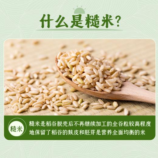 【纤香饱满】草牧里 七色糙米试用装 500g/盒 多吃谷物好七种更健康 商品图2