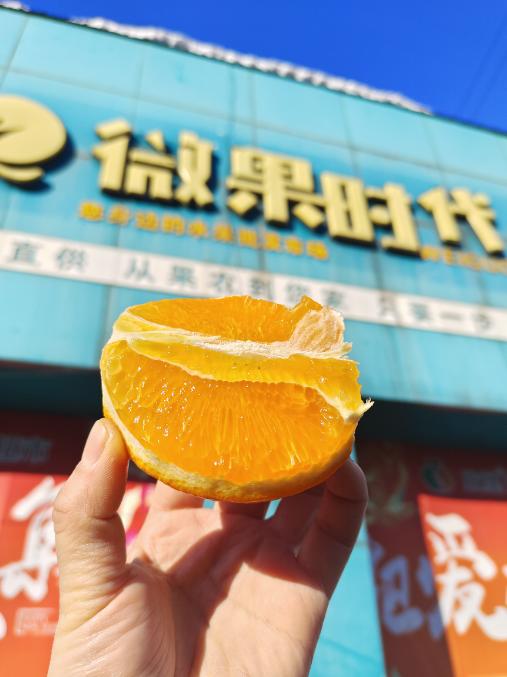 红美人果冻橙3斤 商品图3