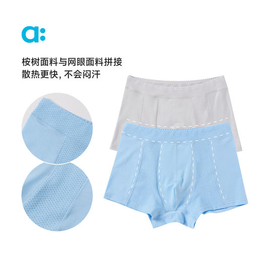 【春Vol.1】allblu幼岚【桉树网眼内裤】儿童平角内裤25春新款男童透气弹力ZY 商品图1