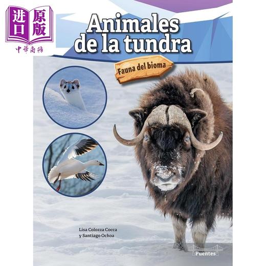 【中商原版】Spanish Science Readers Animales de la tundra 3-6年级 8-12岁 西班牙语原版少儿科普读物 苔原动物 商品图0