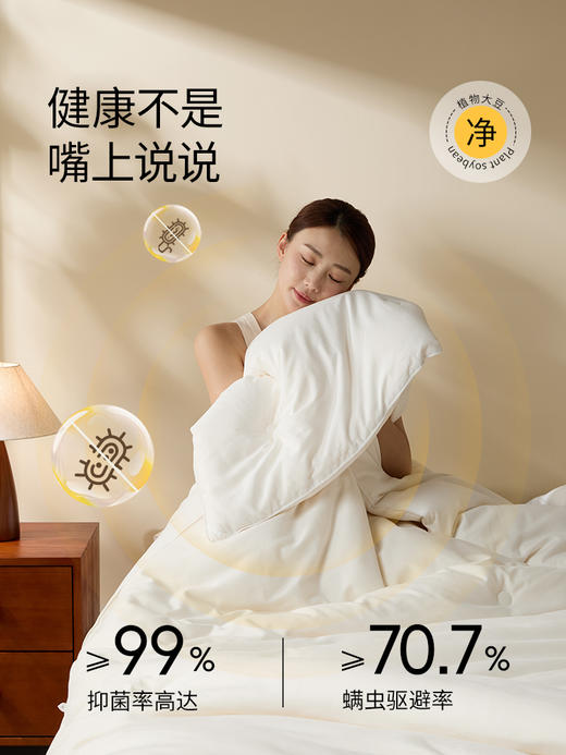 佳丽斯大豆纤维被子全棉a类单人春秋被冬被加厚保暖被芯四季通用 商品图9