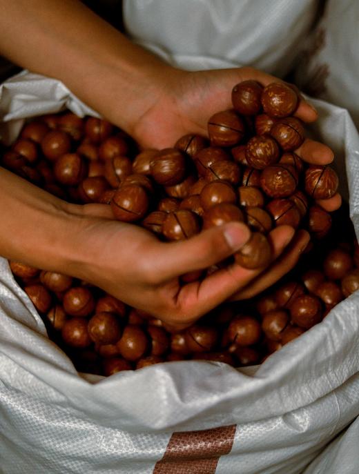 夏威夷果奶香味礼盒 商品图3