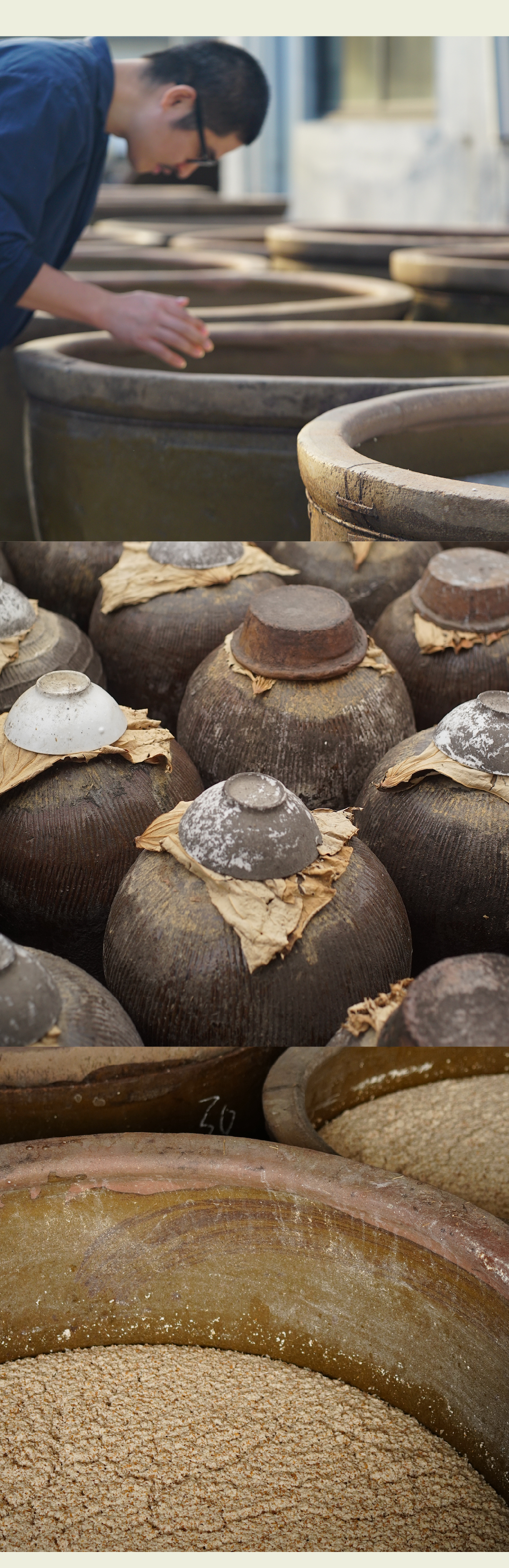 冬酿黄酒6年陈不含焦糖色糯米酒12度传统工艺酿500ml