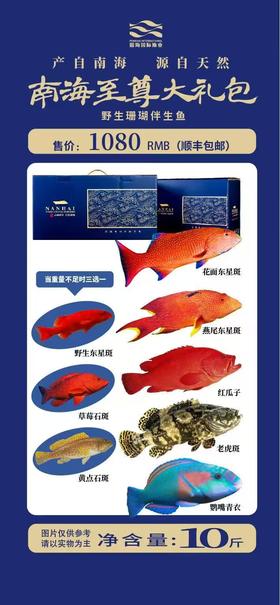 南海至尊大礼包