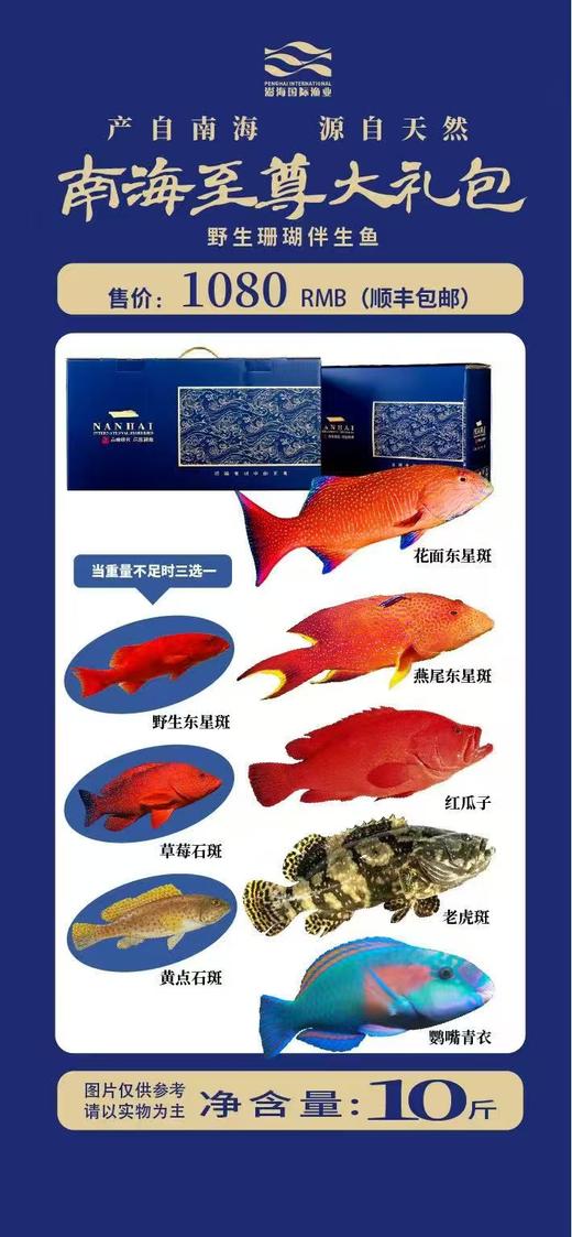 南海至尊大礼包 商品图0