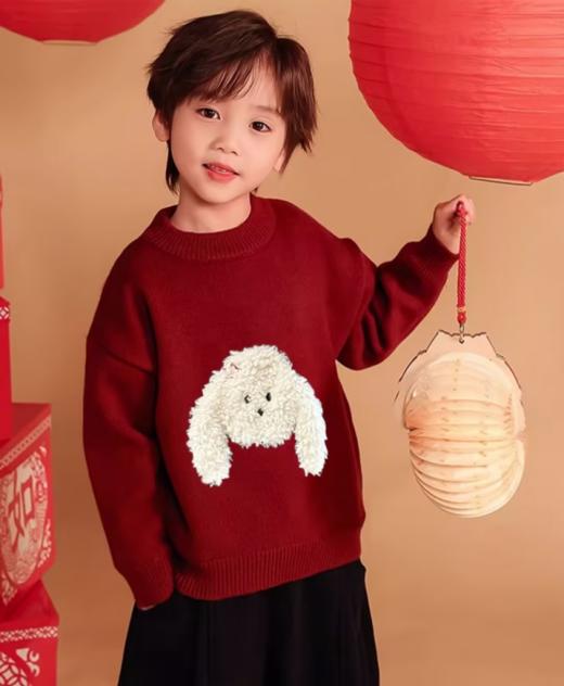 🌸糯叽叽 🎈肉眼可见的好质感 挑选一件既保暖🥰又充满童趣的衣物吧🔥【儿童立体卡通小狗圆领针织毛衣💖】将萌宠元素与时尚设计🎉完美融合 🎁让孩子秒变冬日里耀眼✨的小明星 商品图2