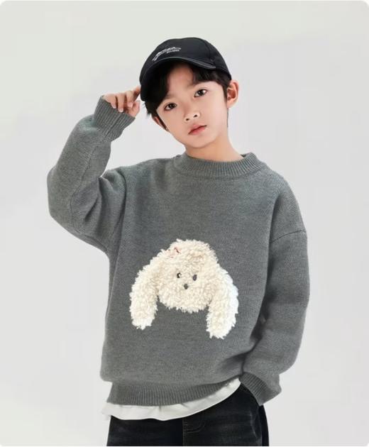 🌸糯叽叽 🎈肉眼可见的好质感 挑选一件既保暖🥰又充满童趣的衣物吧🔥【儿童立体卡通小狗圆领针织毛衣💖】将萌宠元素与时尚设计🎉完美融合 🎁让孩子秒变冬日里耀眼✨的小明星 商品图3