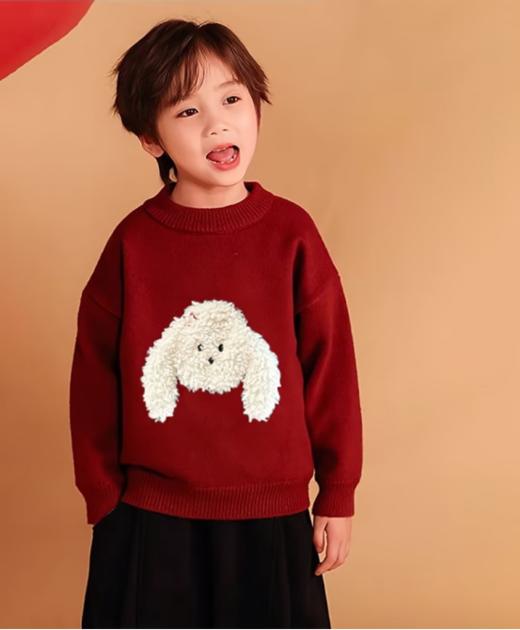 🌸糯叽叽 🎈肉眼可见的好质感 挑选一件既保暖🥰又充满童趣的衣物吧🔥【儿童立体卡通小狗圆领针织毛衣💖】将萌宠元素与时尚设计🎉完美融合 🎁让孩子秒变冬日里耀眼✨的小明星 商品图1