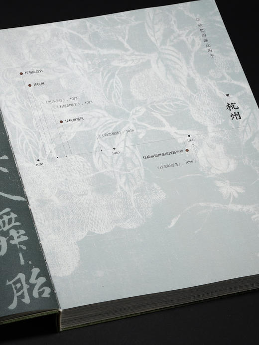 《东坡石语：苏轼与两宋文人石刻踪迹》 商品图3