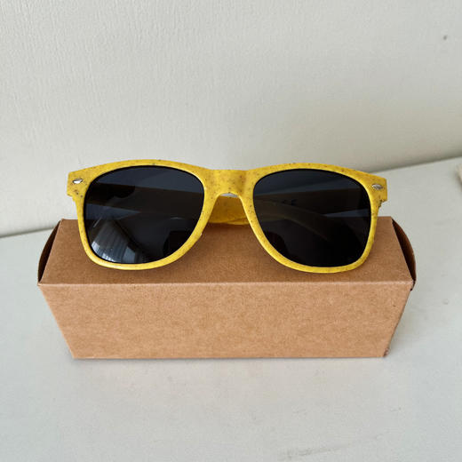 PADI Gear 环保材质太阳镜 商品图10