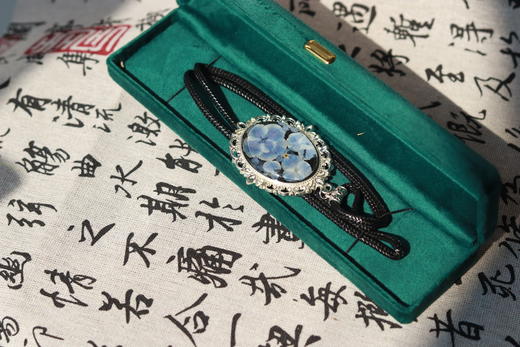 复古干花森系创意押花项链 商品图4