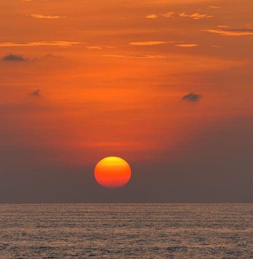 泰国普吉斯米兰群岛二日游【两天一晚船宿OW持证四次潜水|夜间/深潜水】往返接送 商品图3