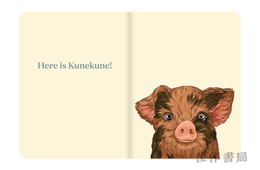 Here Is Hare / 这就是野兔 商品图1