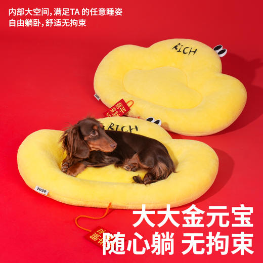 zeze元宝宠物垫-B（包邮） 商品图4
