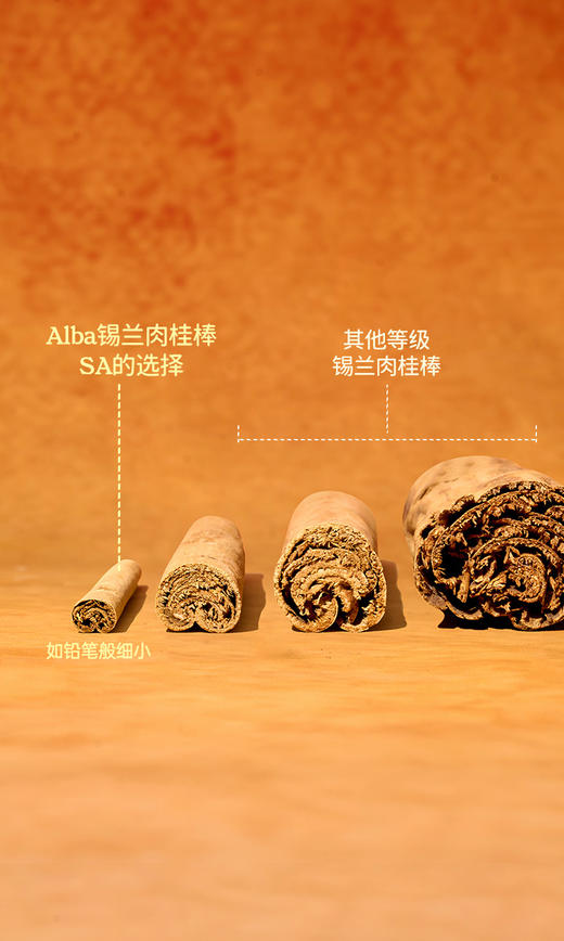 阿尔巴锡兰肉桂粉 商品图2