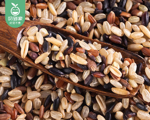 袁蒙草原海水稻七色软糙米（480g/包）生产日期：3月 商品图1