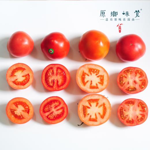 有机番茄西红柿（基地直发-顺丰/京东包邮） | 多种规格，来自四只瓢虫兄弟农场，生产者：詹志宇【合作生产，公平贸易】 商品图10