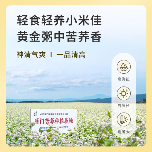 雁门清高黄金粥礼盒1800g黄小米苦荞米小米粥五谷杂粮粗粮礼盒 商品图6