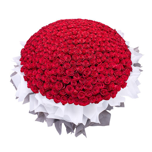 【高级定制鲜花】下单前请联系客服确认 ROSEONLY诺誓 鲜花玫瑰 钟情-手捧520支 199枝 送女友送老婆 商品图3