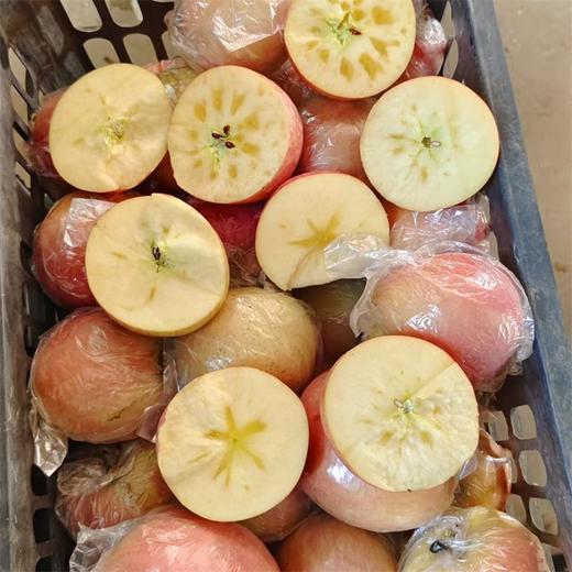 甜果源源 高山冰糖心丑苹果【不是每个果子都有冰糖心】 商品图3