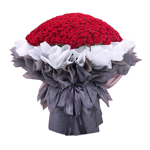 【高级定制鲜花】下单前请联系客服确认 ROSEONLY诺誓 鲜花玫瑰 钟情-手捧520支 199枝 送女友送老婆 商品图5