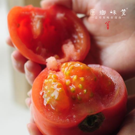 有机番茄西红柿（基地直发-顺丰/京东包邮） | 多种规格，来自四只瓢虫兄弟农场，生产者：詹志宇【合作生产，公平贸易】 商品图6