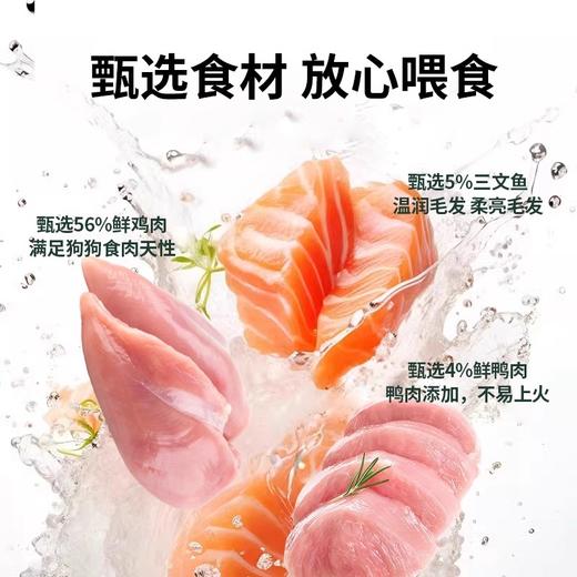 单袋 BYAY狗粮 商品图1