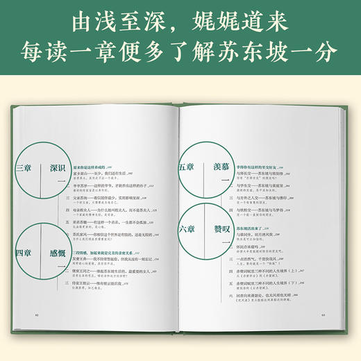 【意公子新书现货】《人生得遇苏东坡》 方知可以这样活 果麦 商品图3